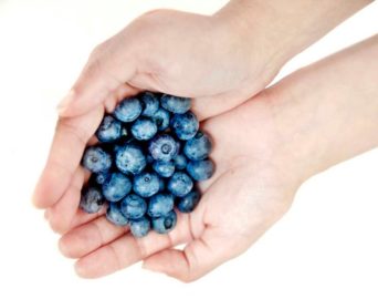 MEDOX 歐洲藍莓花青素膠囊和其它藍莓膠囊的差異