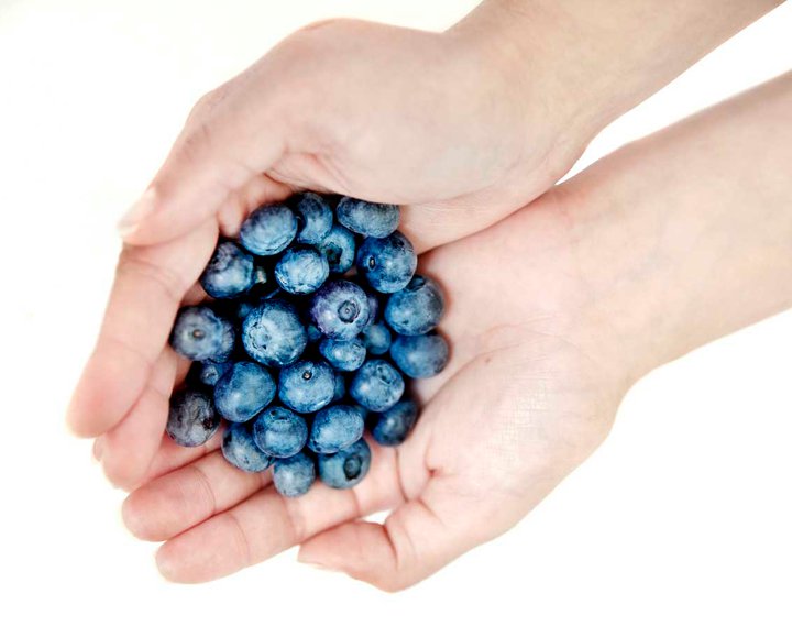 Hand_Blueberry